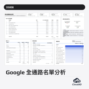DS008｜Google 全通路名單分析（含 AI 流量）